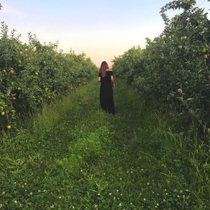 Meet your Posher, Lily